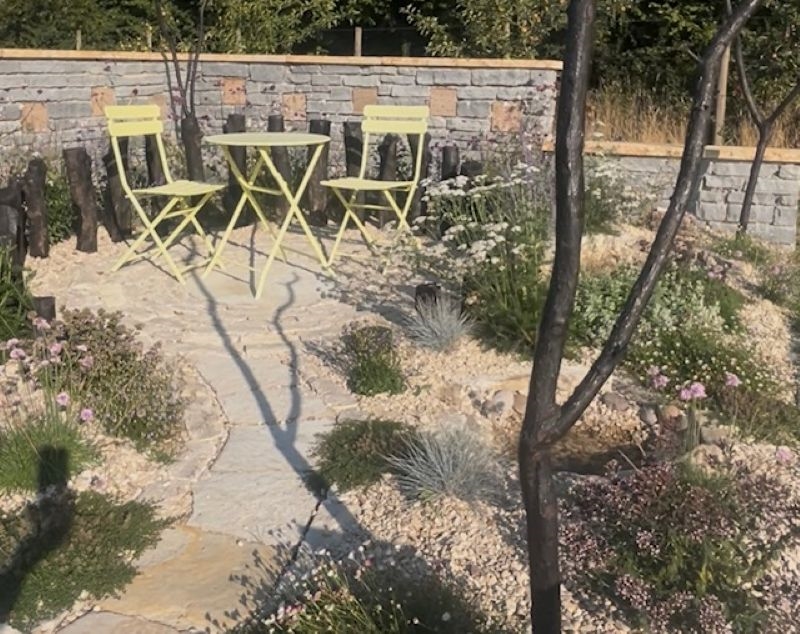 The Blooming Wild Plant Nursery